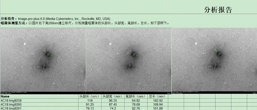 電鏡測(cè)量分析