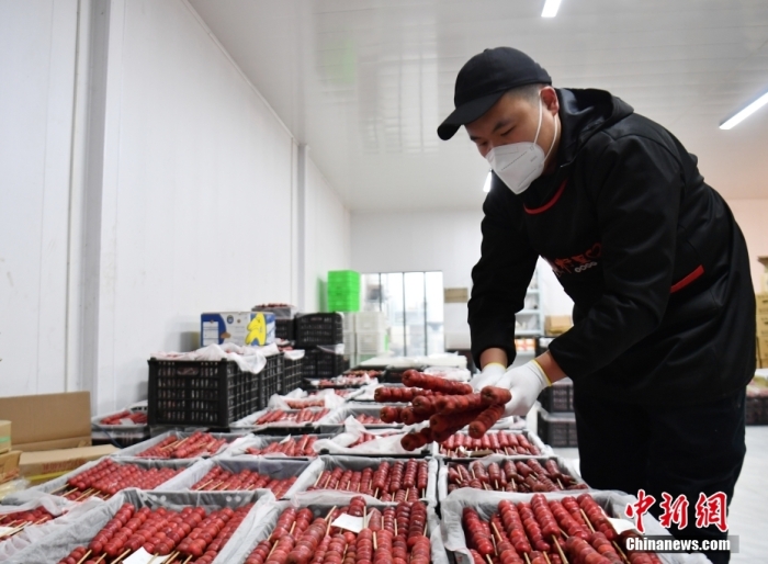 1月18日，雄安新區(qū)大樹劉莊村辛愛青家中的冰糖葫蘆加工廠，工人正在制作冰糖葫蘆。作為遠近聞名的“冰糖葫蘆村”，大樹劉莊村制作冰糖葫蘆的歷史已有100多年，全村三分之二的村民都會這門手藝，吸引不少游客慕名而來。 中新社記者 韓冰 攝