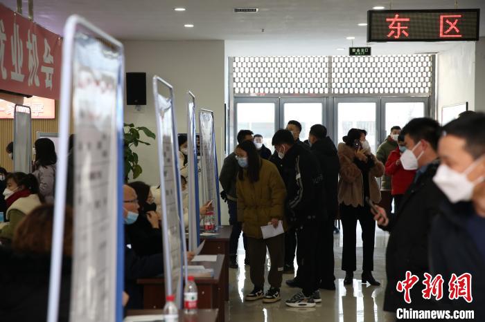 圖為招聘會現(xiàn)場。　遼寧省人社廳供圖