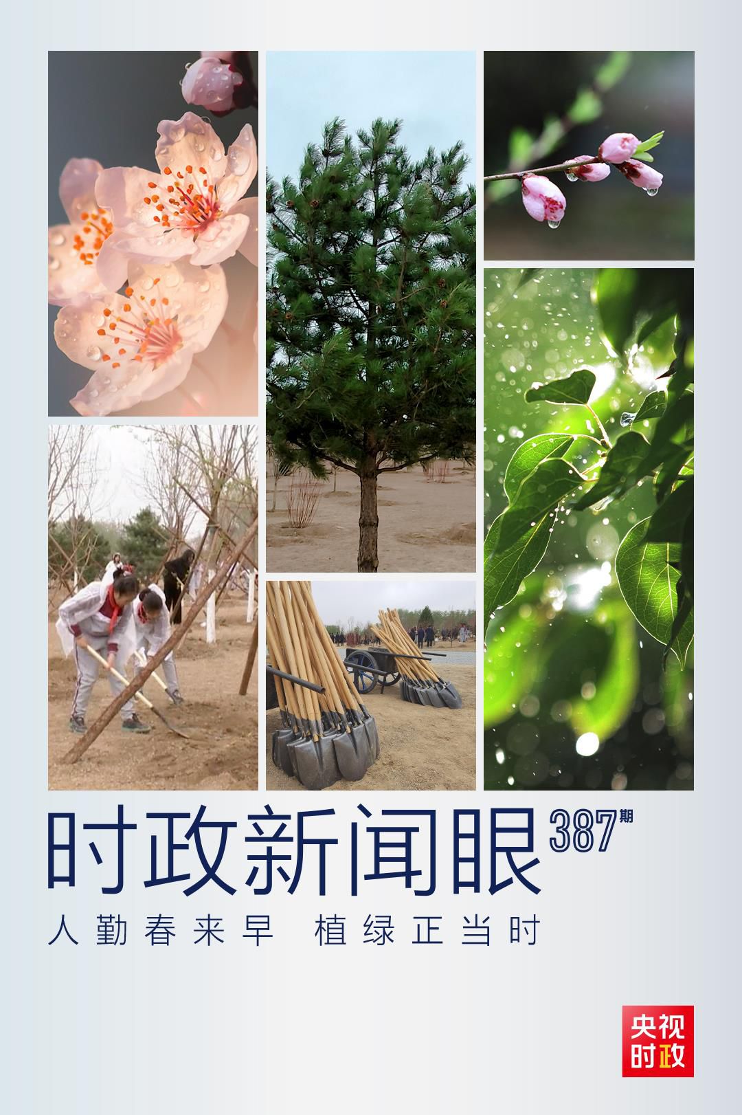 在今年首都義務(wù)植樹(shù)現(xiàn)場(chǎng)，習(xí)近平這三句話飽含深意