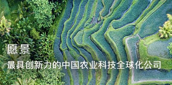 先正達過會！A股史上第四大IPO什么來頭？