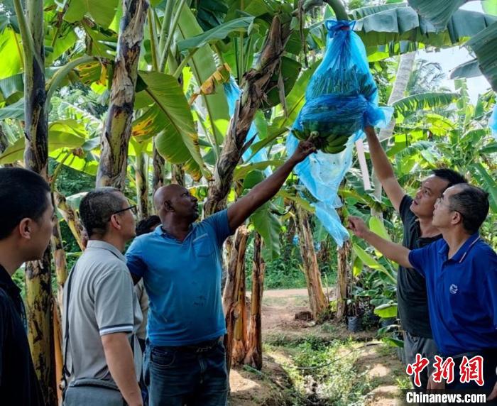 在金融危機(jī)國(guó)家助農(nóng)是什么體驗(yàn)？專(zhuān)訪(fǎng)“中國(guó)-FAO-斯里蘭卡南南合作”項(xiàng)目團(tuán)隊(duì)隊(duì)長(zhǎng)
